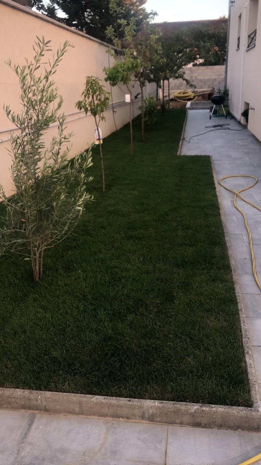 Allée pavée et plantations